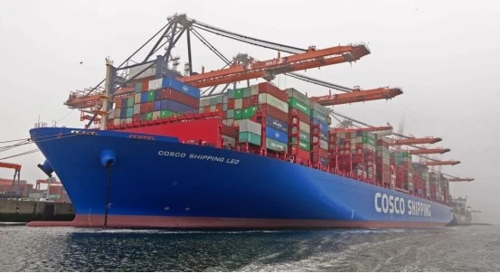 Sea Freight From Shanghai To Port Elizabeth factory