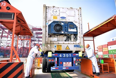 Zelenjavna logistika hladne verige